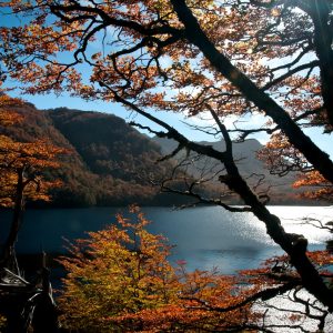 Puerto Blest Y Cascada de Los Cántaros