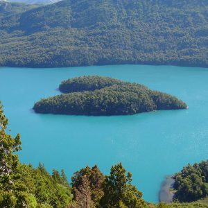 Promo Marzo Cerro Tronador y Ventisquero Negro
