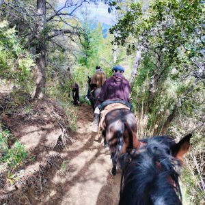 Cabalgata Lago Moreno