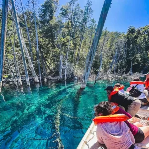 Excursión Traful Full Day. Opcional Bosque Sumergido