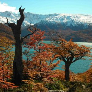 Paquete a Bariloche - Otoño 2026