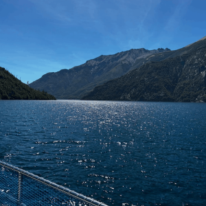 Exploración Brazo Tristeza