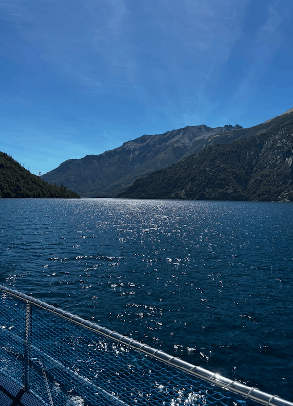 Arm sadness 2026 (1)