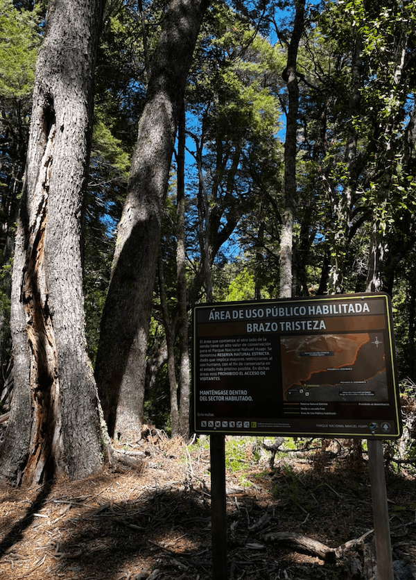 Brazo tristeza navegacion (1)
